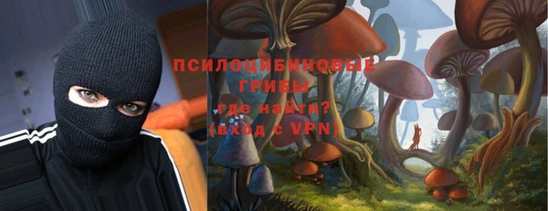 spice Алексеевка