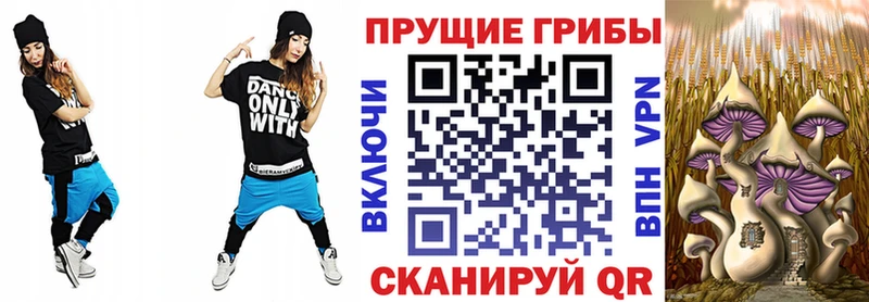 Галлюциногенные грибы Cubensis  Купить где  Зеленоградск 
